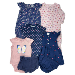 Butterflies and Flowers