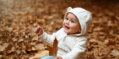 All Fall Bundles