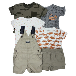 Summer Safari
