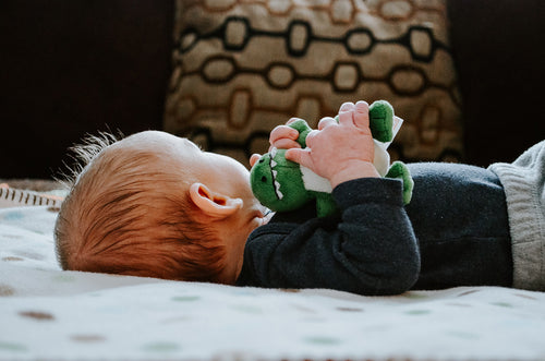 Newborn baby boy holding a green teddy bear laying on his back. Discover sustainable, affordable, gently-loved children's clothing bundles at Bundled, supporting parents and the environment with curated, high-quality options for newborns to toddlers at affordable and cheap price points.